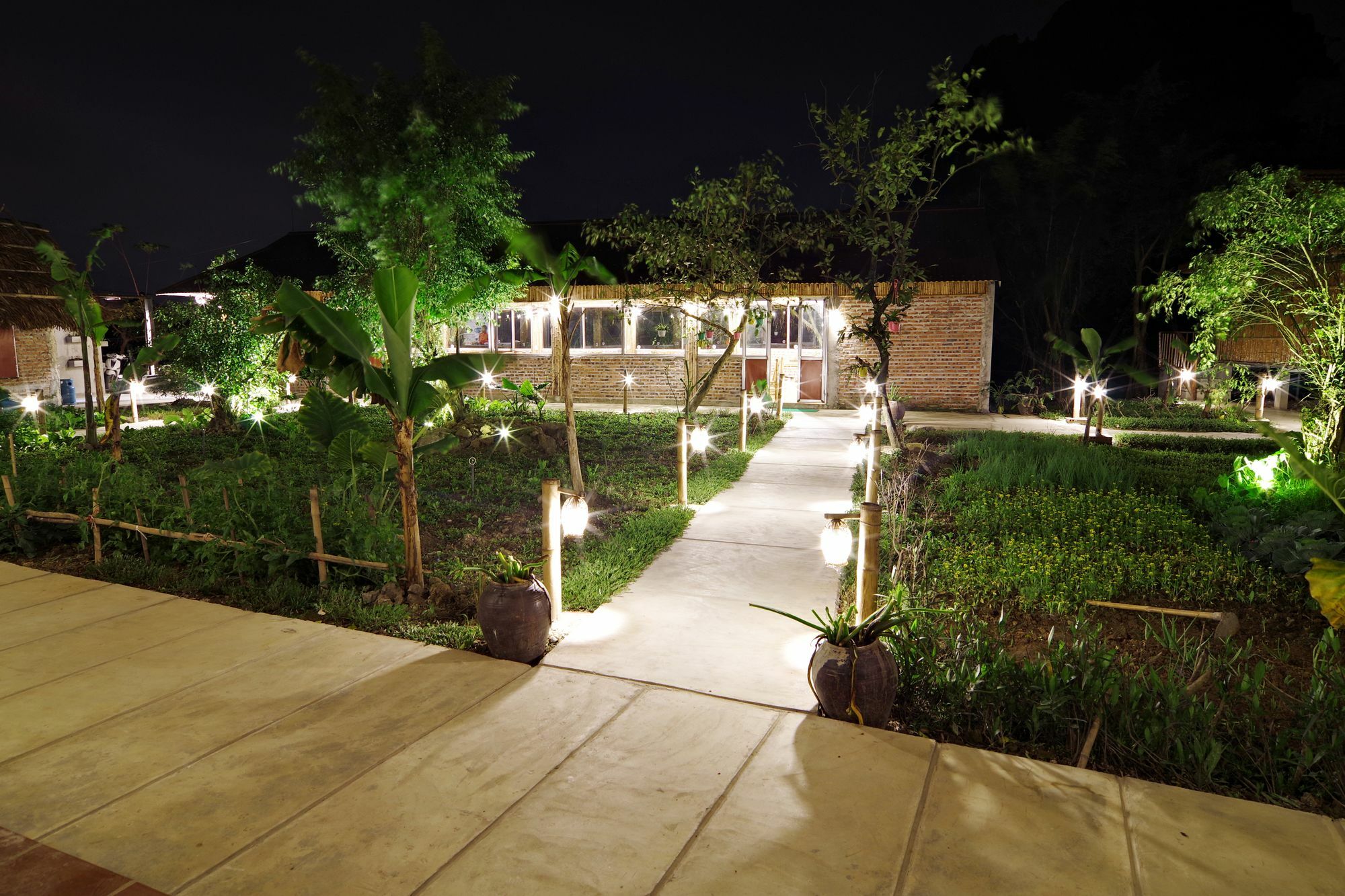 Ham Rong Homestay Ниньбинь Экстерьер фото