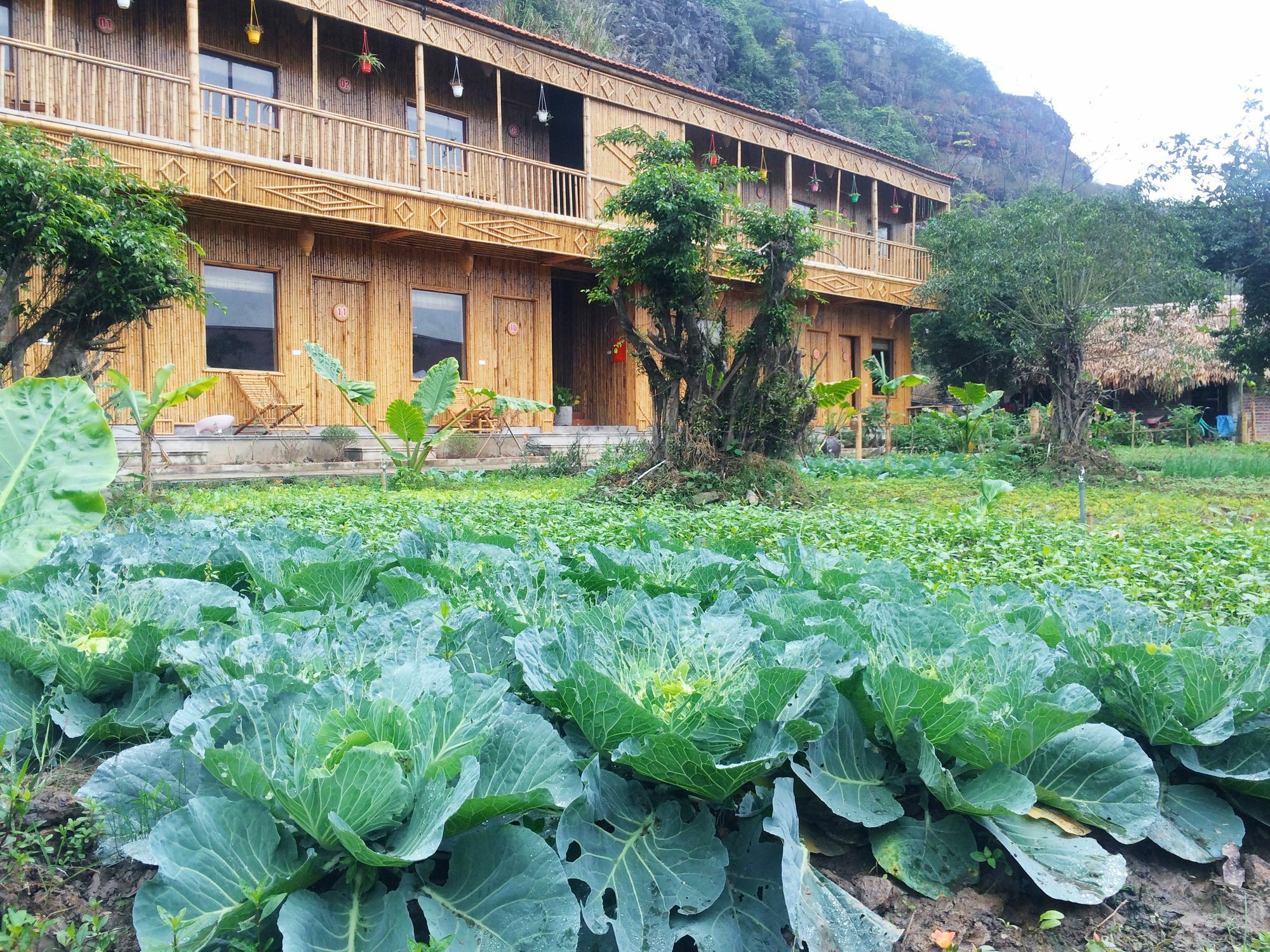 Ham Rong Homestay Ниньбинь Экстерьер фото